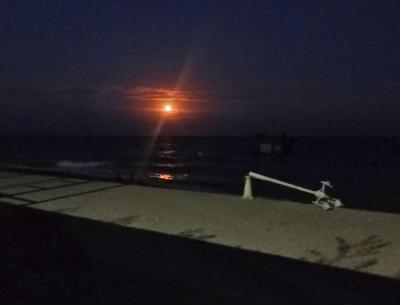 Прикрепленное изображение: ZL2.jpg